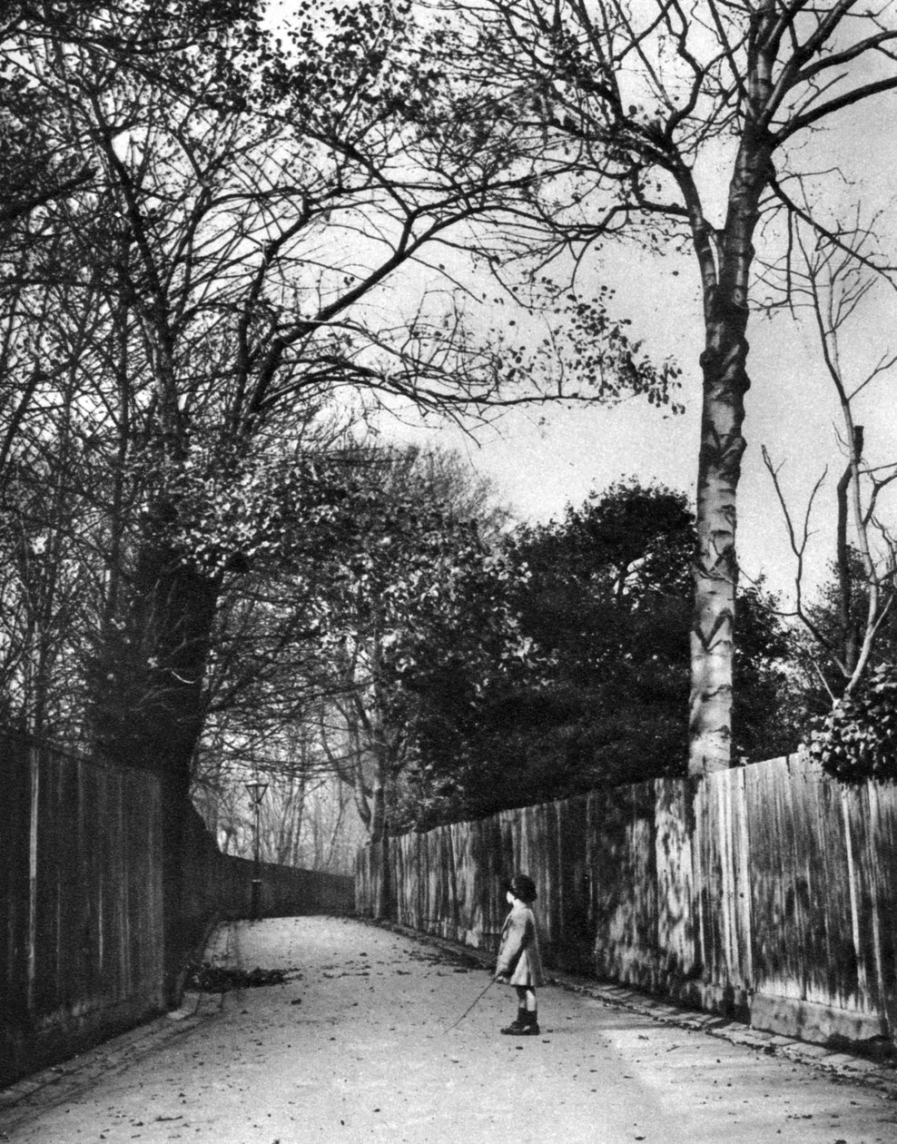 Őszi idő a Holland Walk-ban, London, 1926-1927. alkotó: McLeish