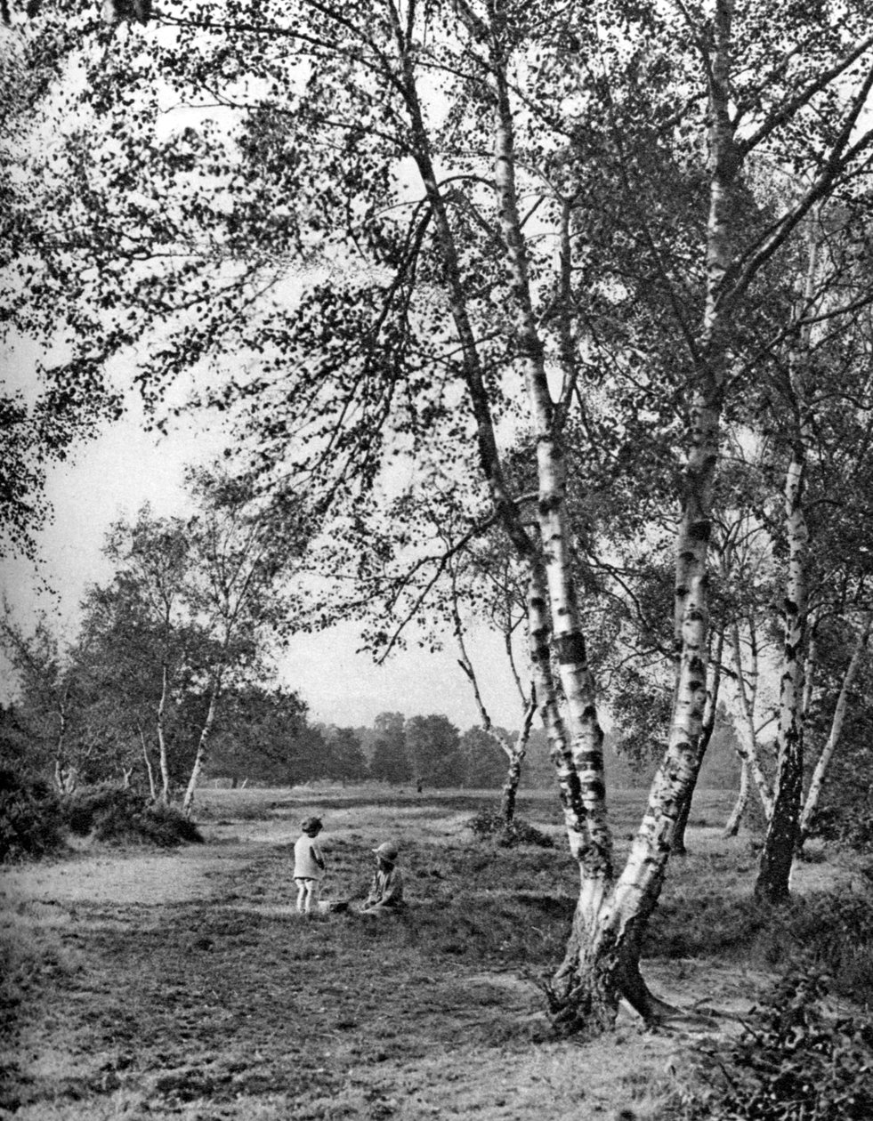 Putney Heath, London, 1926-1927 alkotó: McLeish
