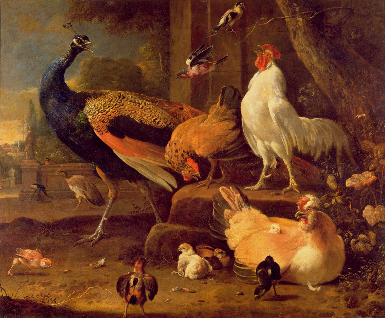 Baromfi, 1670 körül alkotó: Melchior de Hondecoeter