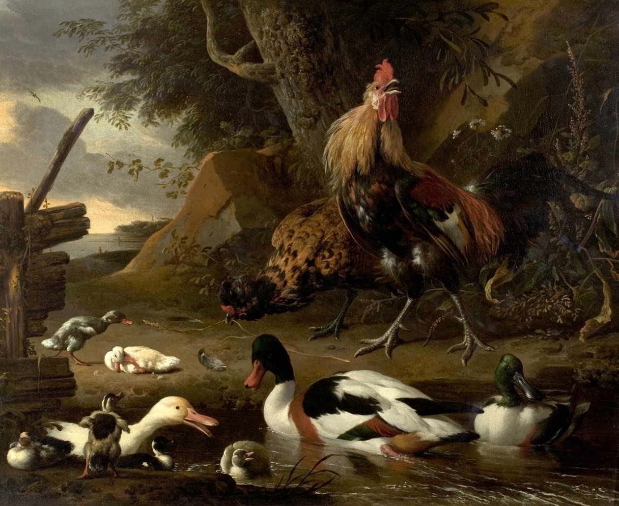 Két tyúk és kacsa a tavon alkotó: Melchior de Hondecoeter