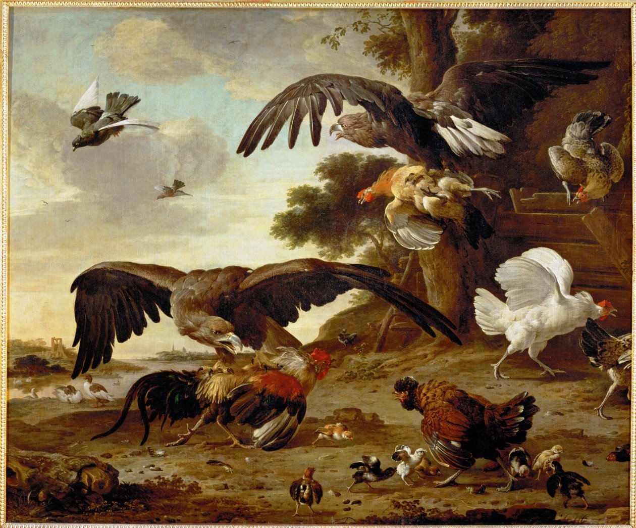 Sasok támadó csirkék ... alkotó: Melchior de (manner of) Hondecoeter