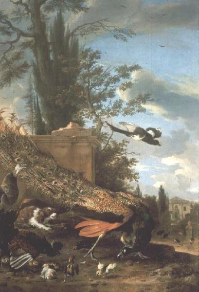 Páva és spániel egy villa kertjében alkotó: Melchior de Hondecoeter