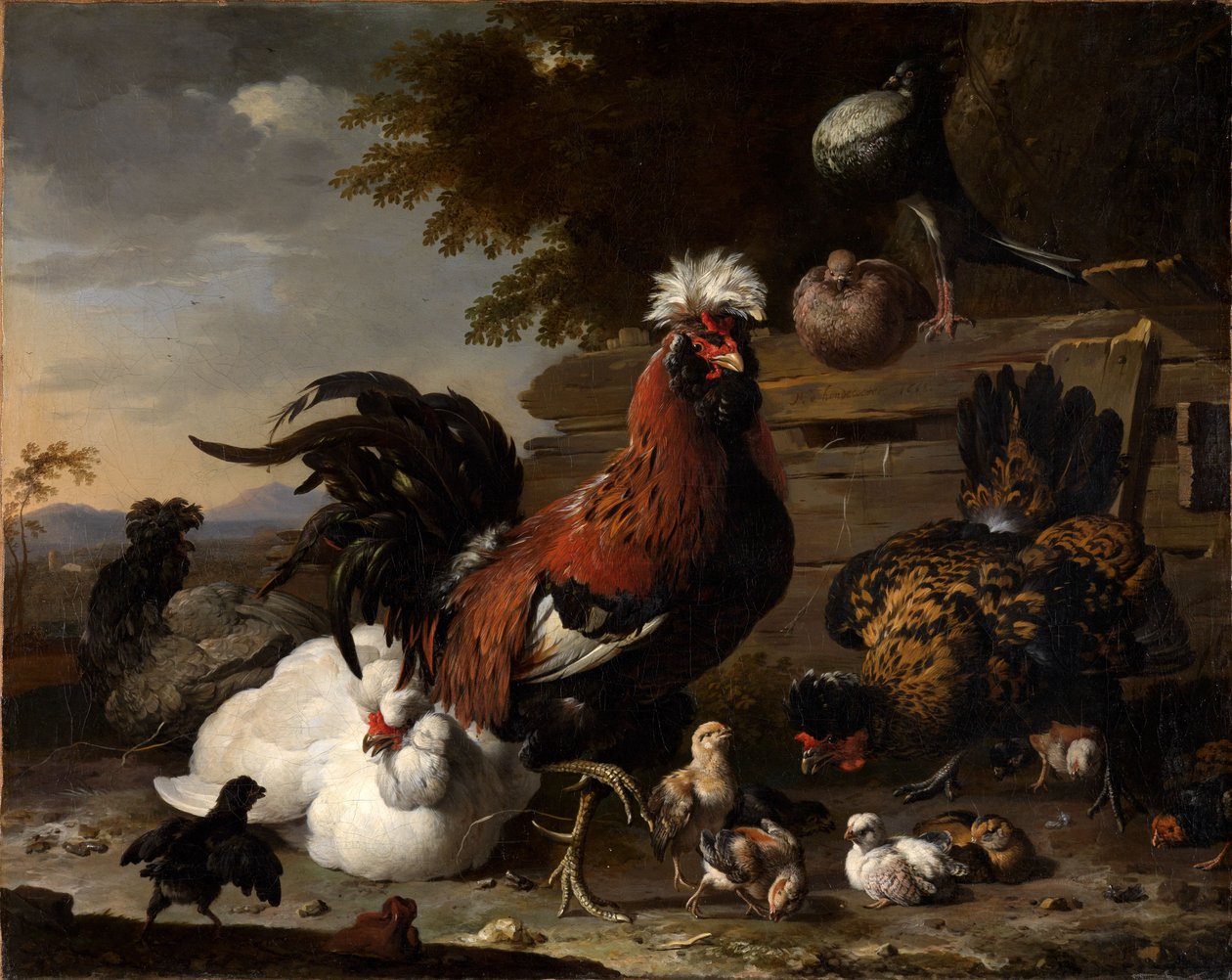 Béke a baromfiudvarban alkotó: Melchior de Hondecoeter