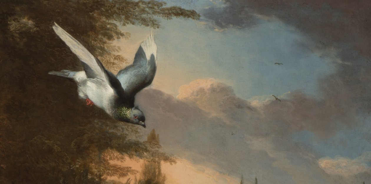 Részlet a Menagerie-ből, 1680 körül (olaj, vászon) alkotó: Melchior de Hondecoeter