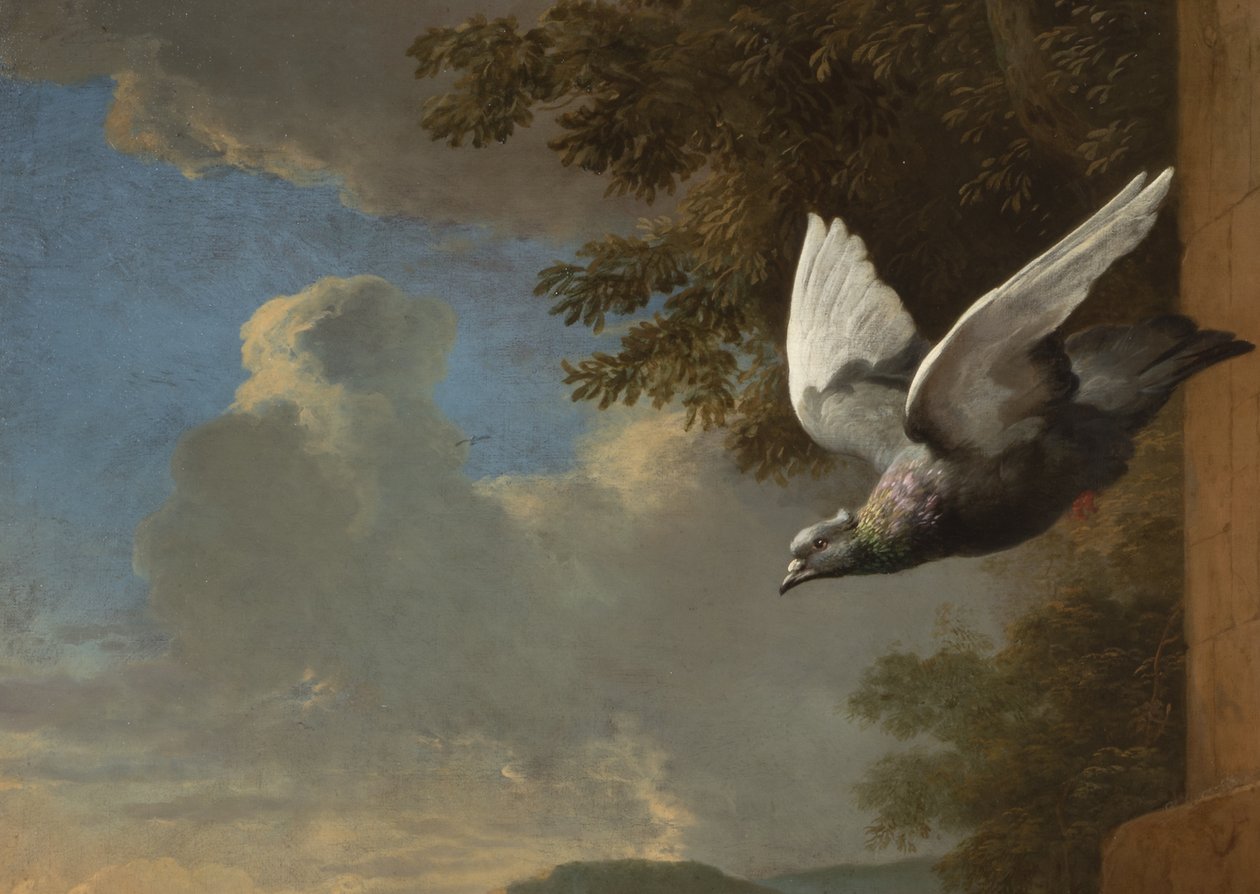 Részlet a Menagerie-ből, 1680 körül (olaj, vászon) alkotó: Melchior de Hondecoeter