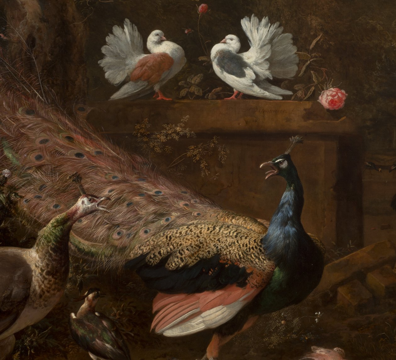 Részlet a Menagerie-ből, 1680 körül alkotó: Melchior de Hondecoeter
