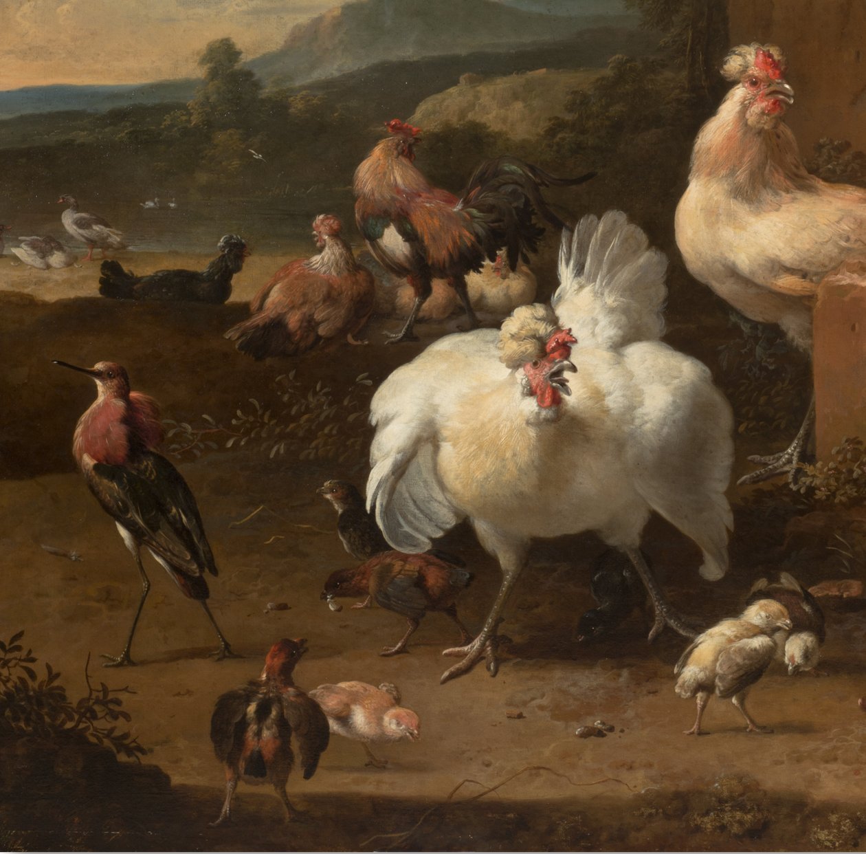 Részlet a Menagerie-ből, 1680 körül alkotó: Melchior de Hondecoeter