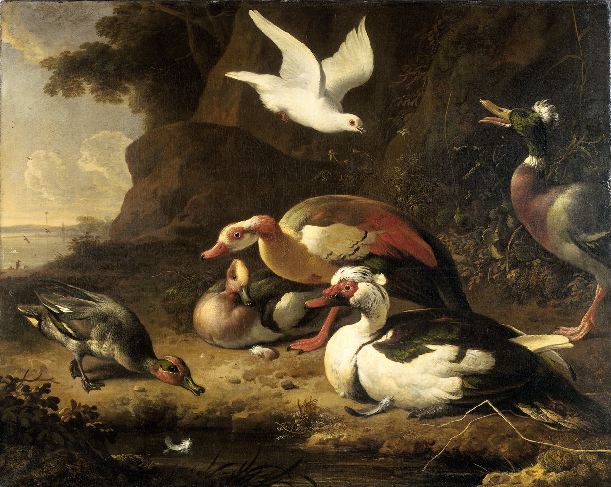  alkotó: Melchior de Hondecoeter