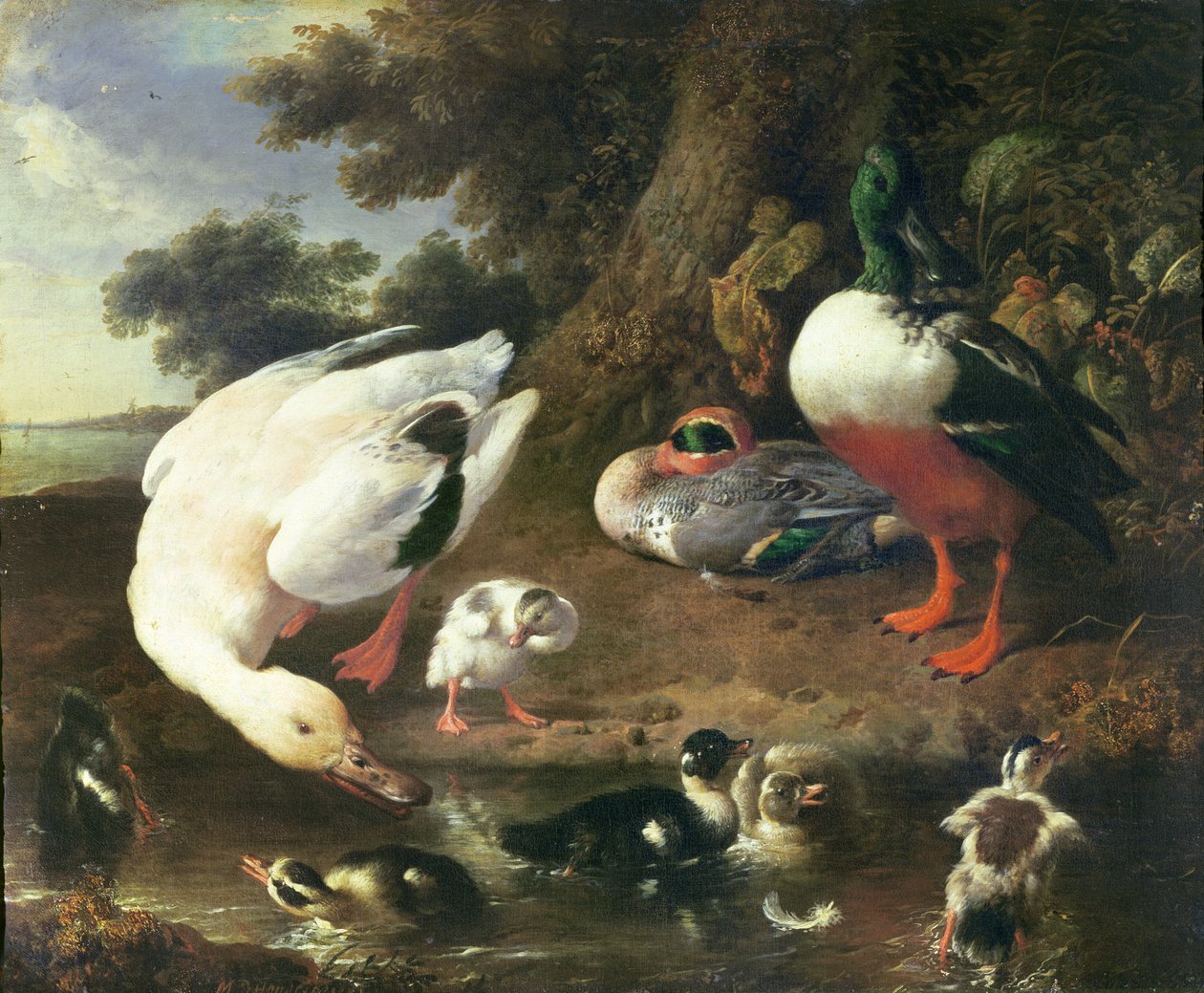 Tanyasi kacsák alkotó: Melchior de Hondecoeter