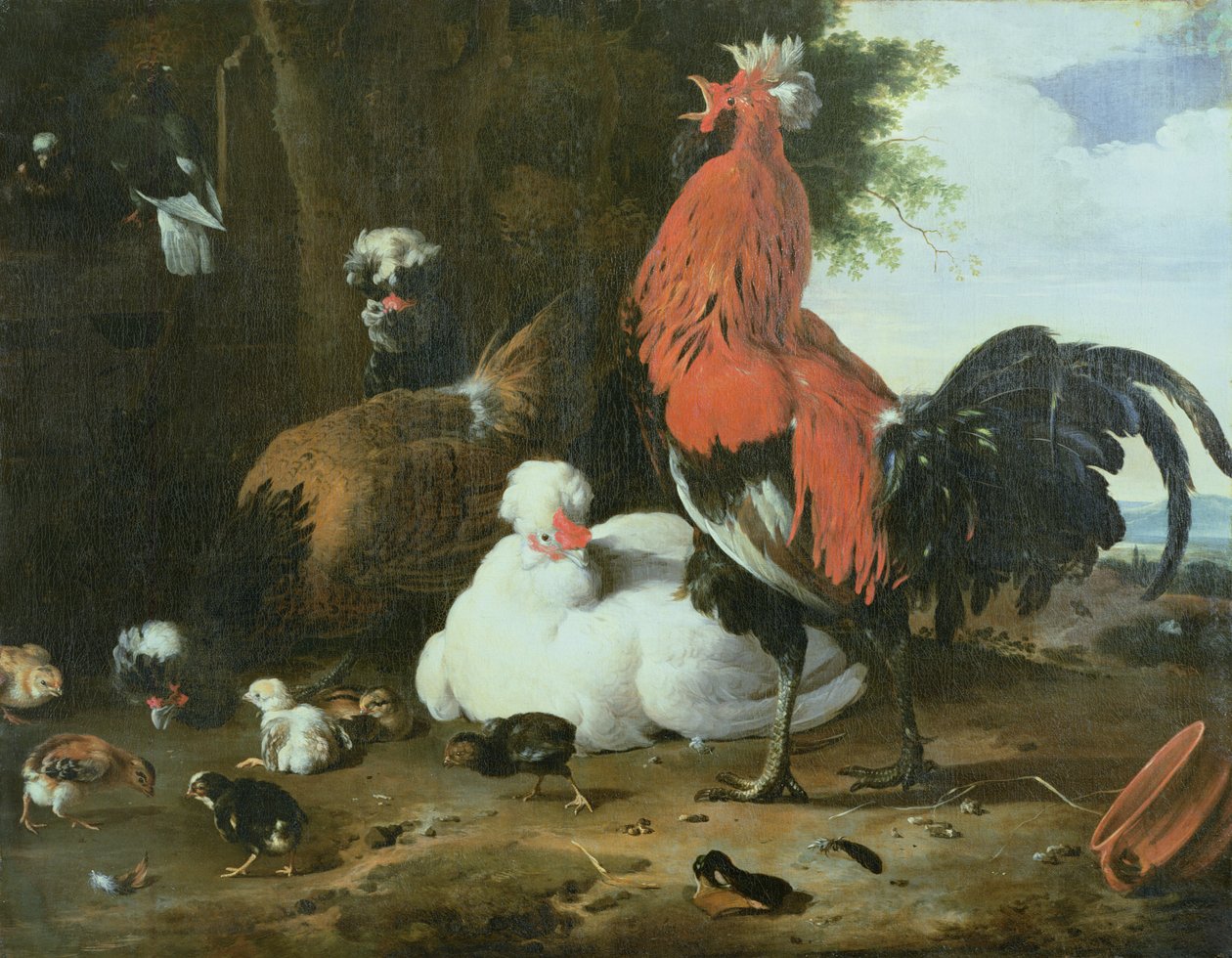 Tanyasi szárnyasok galambokkal alkotó: Melchior de Hondecoeter