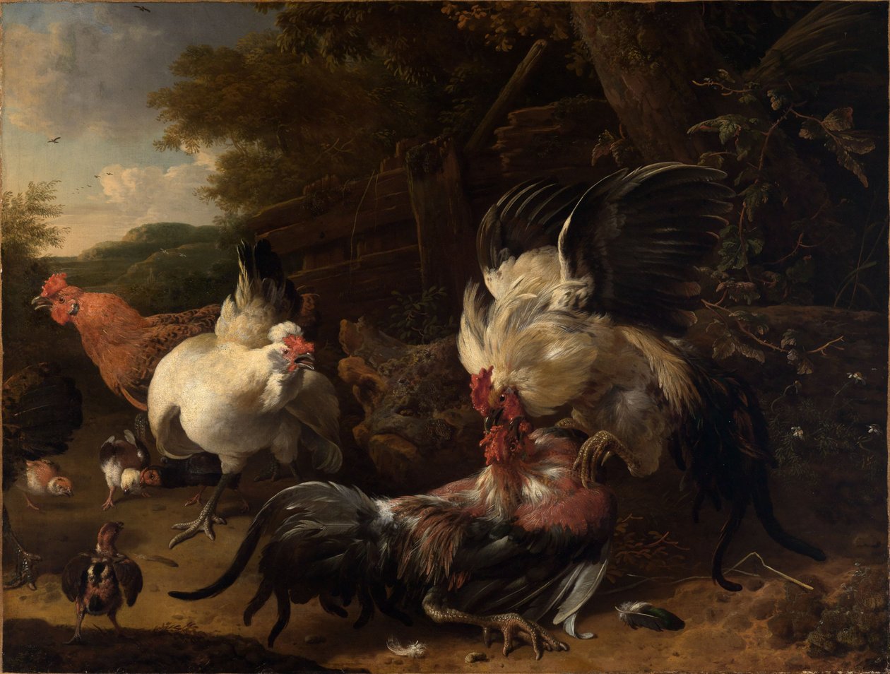 Küzdő kakasok alkotó: Melchior de Hondecoeter