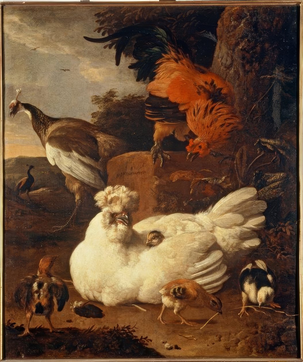 M. de Hondecoeter, anyatyúk fiókákkal alkotó: Melchior de Hondecoeter