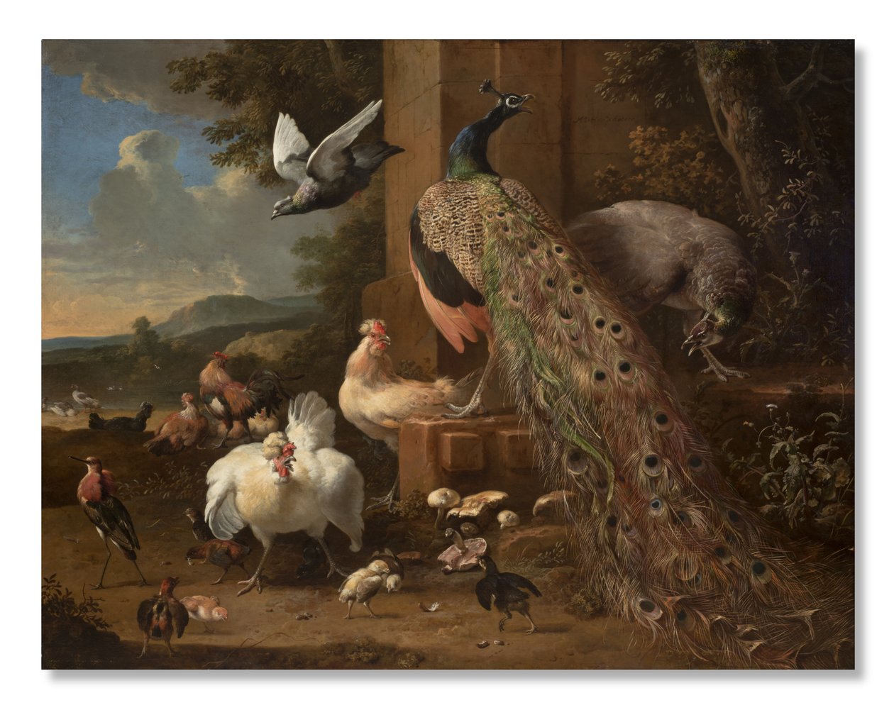 Menagerie, 1680 körül alkotó: Melchior de Hondecoeter