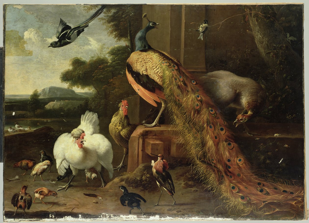 Lázadás a baromfipuccsban alkotó: Melchior de Hondecoeter
