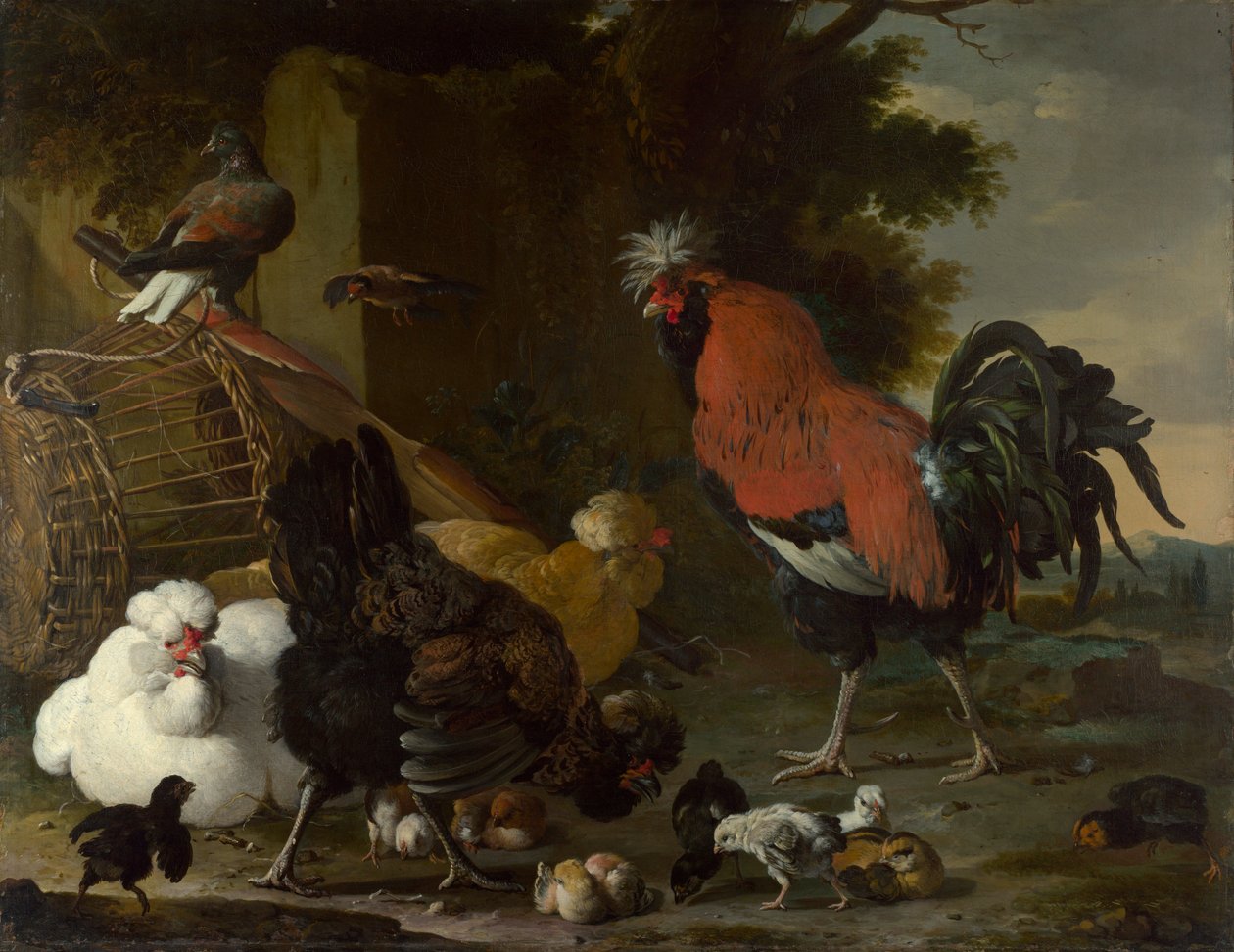 "A kakas, tyúkok és csibék" (A kakas, tyúkok és csibék) Melchior de Hondecoeter festménye (1636-1695) Olaj, vászon kb. 1668-1670. Mérete 85,5x110 cm National Gallery, London alkotó: Melchior de Hondecoeter
