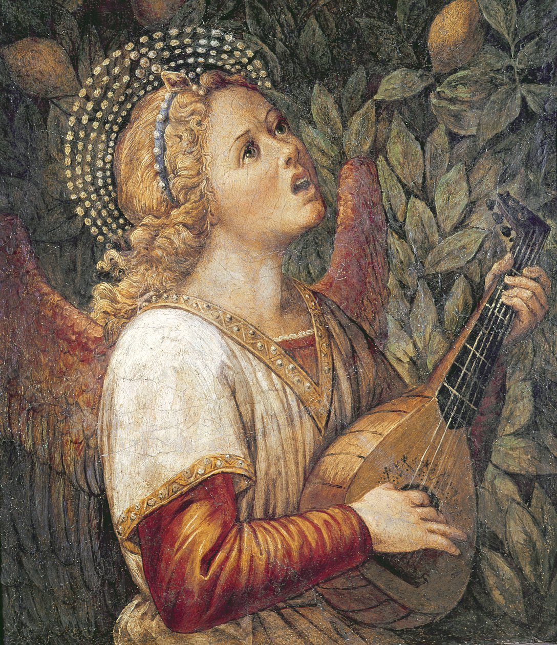 Angyal zenész alkotó: Melozzo da Forli