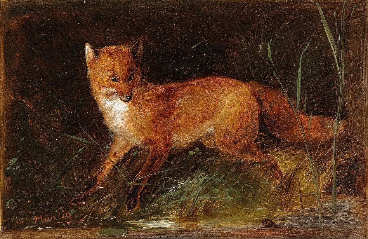 Meno Mühlig Fuchs alkotó: Meno Muhlig