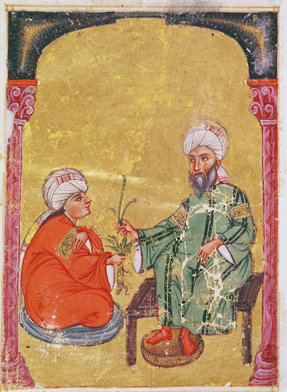 Ahmet III, 2127 Illusztráció Dioscorides „De Materia Medica” című művéből alkotó: Mesopotamian