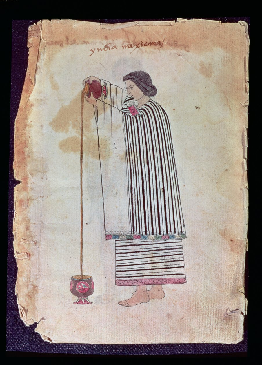 Mexikói indián készítő csokoládé, a Tuleda Codexből, 1553 alkotó: Mexican School