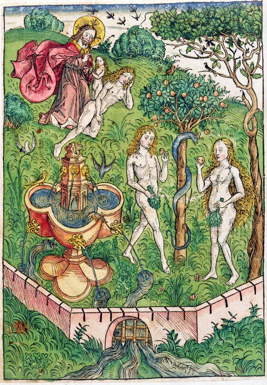 Ádám és Éva teremtése és megkísértése, Koberger „A megváltás igazi gazdagságának kincse vagy címzettje az örök boldogságból”, 1491-ben, Nuernbergben (színes fametszet) alkotó: Michael Wolgemut