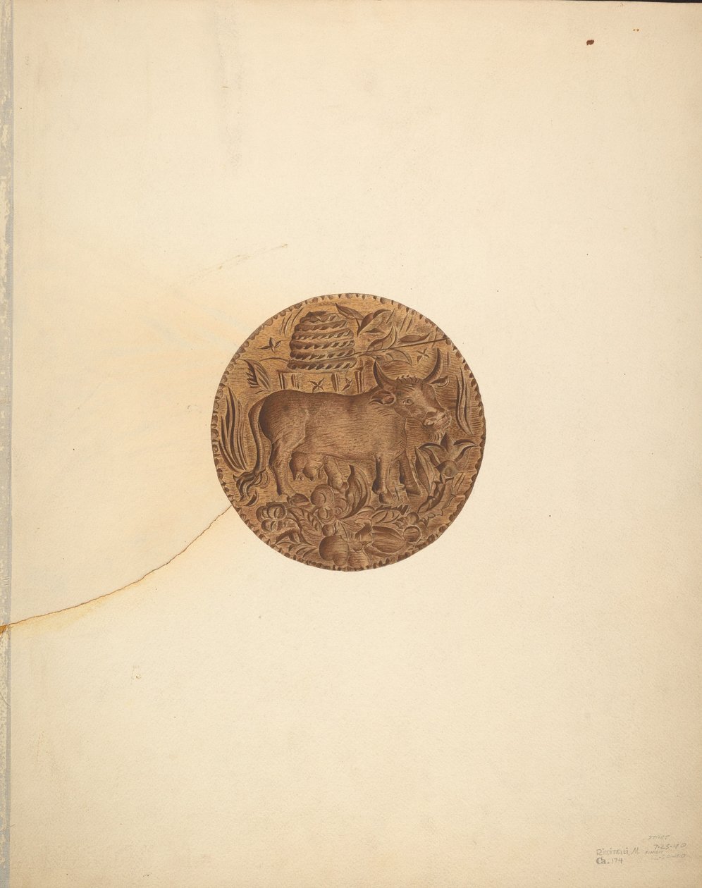 Vajpenész, 1940. alkotó: Michael Riccitelli