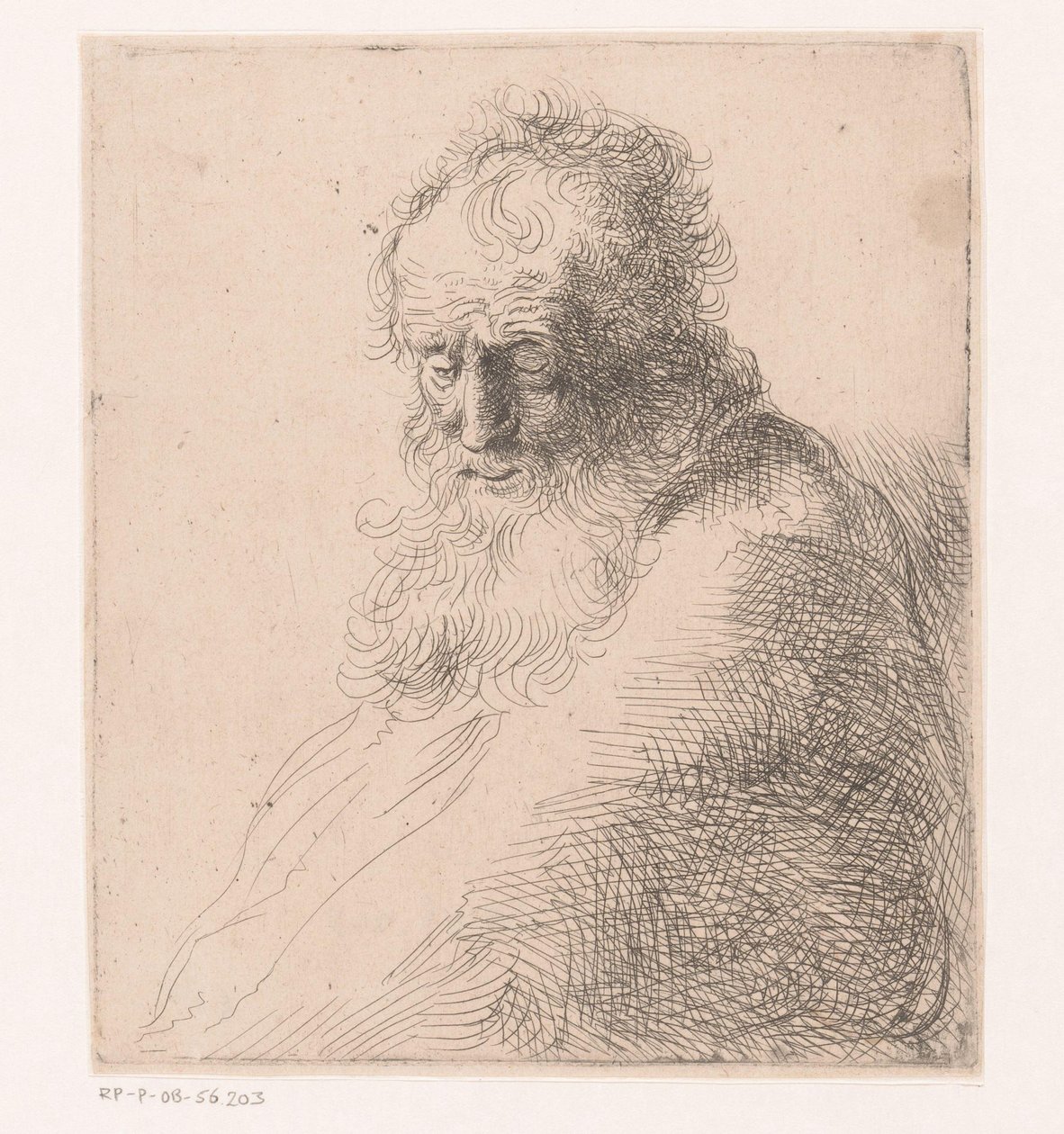 Egy szakállas idős férfi mellszobra alkotó: Michael Willmann (attributed to)