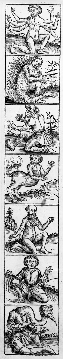 Szörnyek a „Nürnbergi krónikából”, Hartmann Schedel, 1493. alkotó: Michael Wolgemut