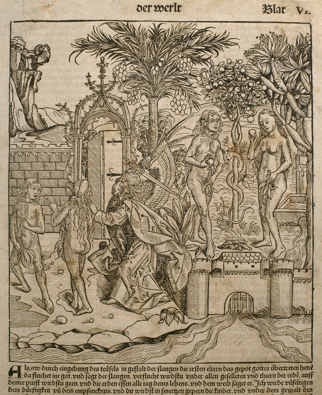 Ádám és Éva, illusztráció Hartmann Schedel (1440-1514) „Liber Chronicarum” című művéből, Nürnbergben, 1493 alkotó: Michael and Pleydenwurff, W. Wolgemuth