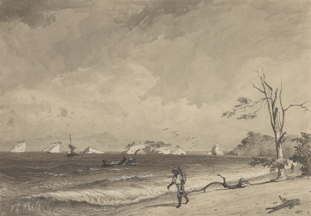 Los Gallos, Icacos Bay alkotó: Michel Jean Cazabon