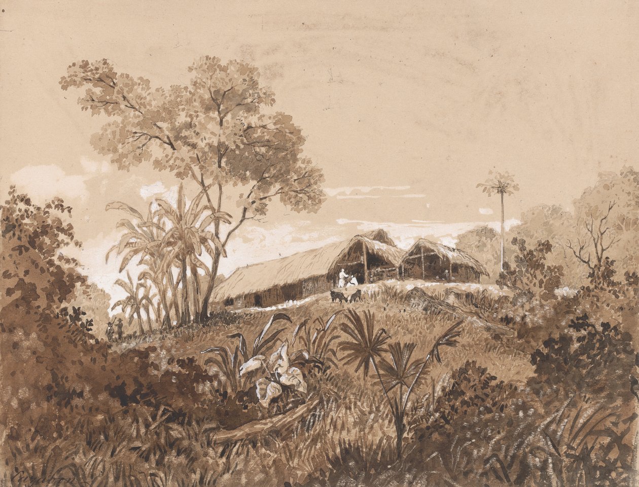 A kunyhó, Tamana-hegy alkotó: Michel Jean Cazabon