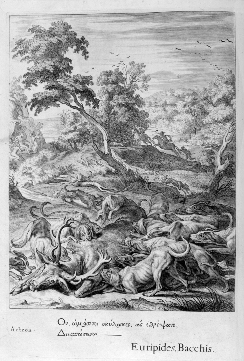 Actaeon szarvasbikává változott, és felfalták a kopói, 1655 alkotó: Michel de Marolles