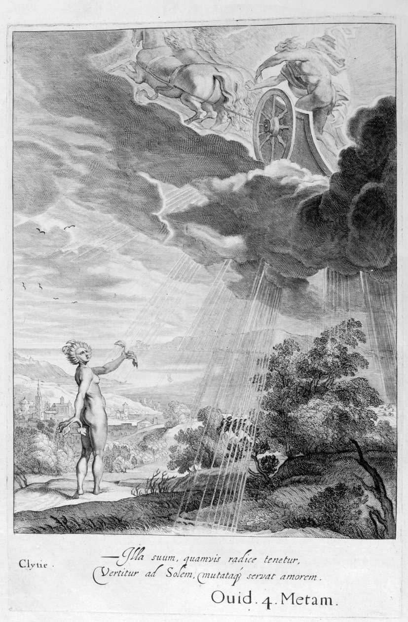 Clytie napraforgóvá változott, 1655 alkotó: Michel de Marolles