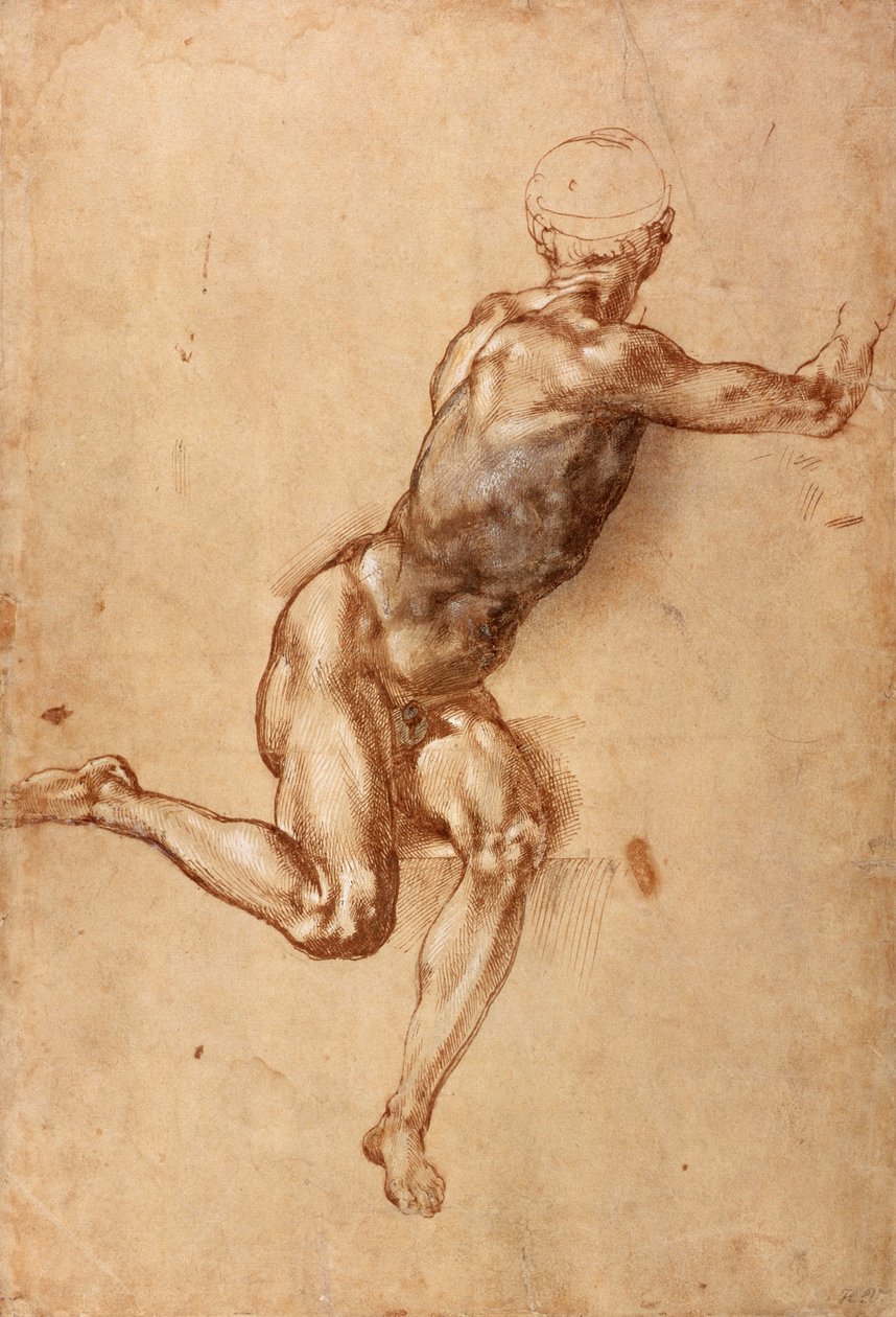 Ülő férfiakt, körbefordul, 1505 körül (toll és tus, mosás, papír) alkotó: Michelangelo Buonarroti