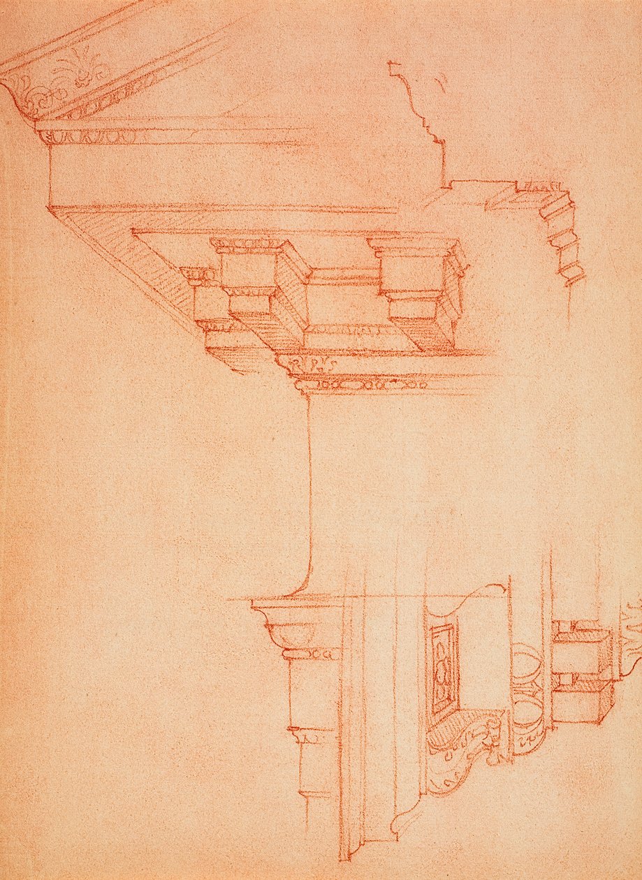 Karnis tanulmány; Michelangelo rajza. Casa Buonarroti, Firenze alkotó: Michelangelo Buonarroti