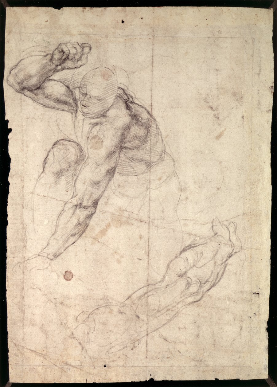 Férfialak tanulmány alkotó: Michelangelo Buonarroti