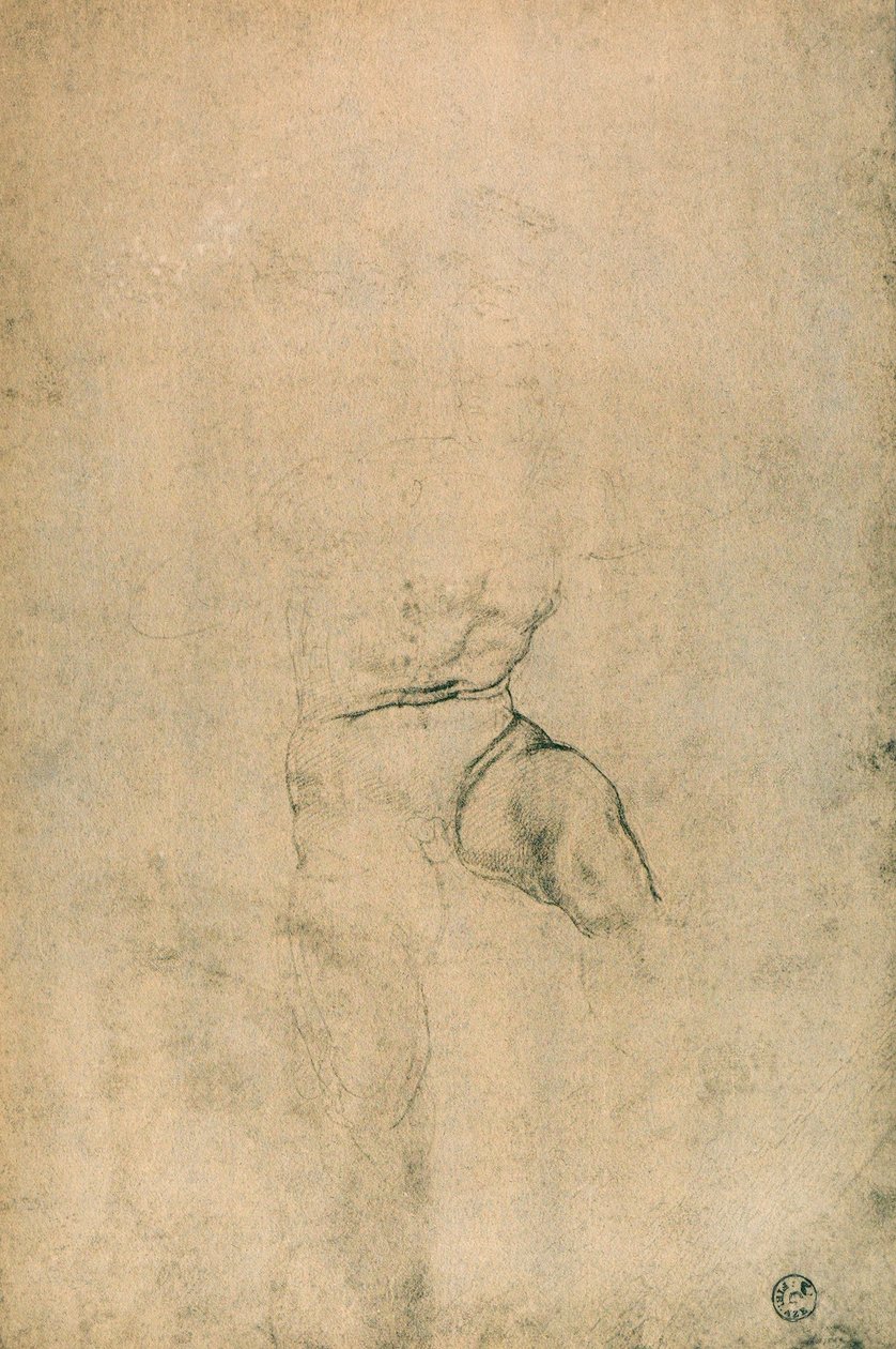 Férfi akt, Michelangelo tanulmánya. Rajzok és nyomatok kabinetje, Uffizi Galéria, Firenze alkotó: Michelangelo Buonarroti