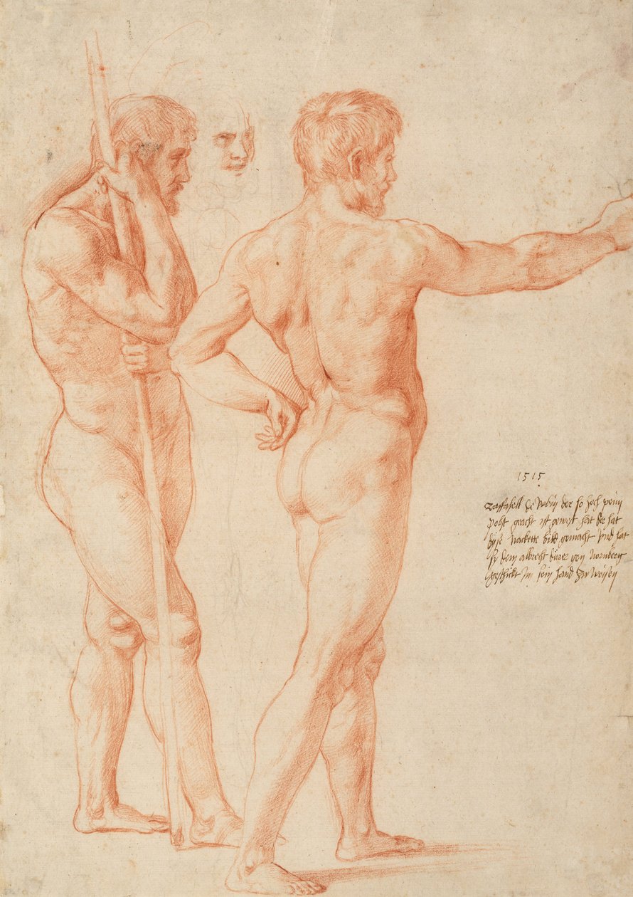 Meztelen tanulmányok alkotó: Michelangelo Buonarroti