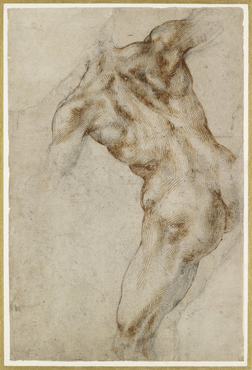 Akt férfi felsőtest alkotó: Michelangelo Buonarroti