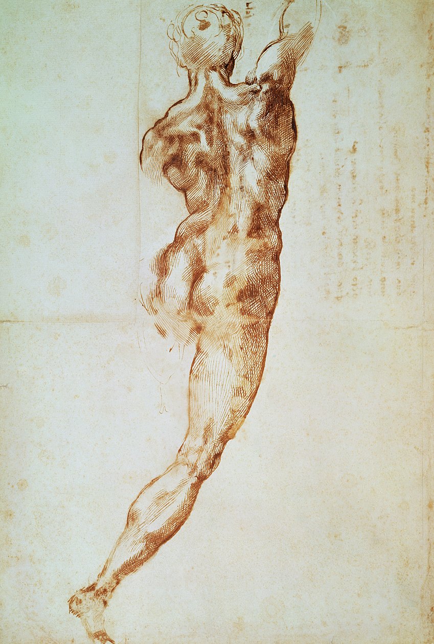 Akt, tanulmány a Cascina-i csatához (vörös kréta, papír) alkotó: Michelangelo Buonarroti