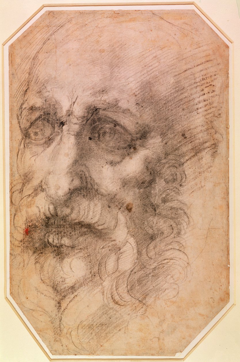 Egy szakállas férfi portréja (fekete kréta papíron) (recto) (a verset lásd: 191768) alkotó: Michelangelo Buonarroti