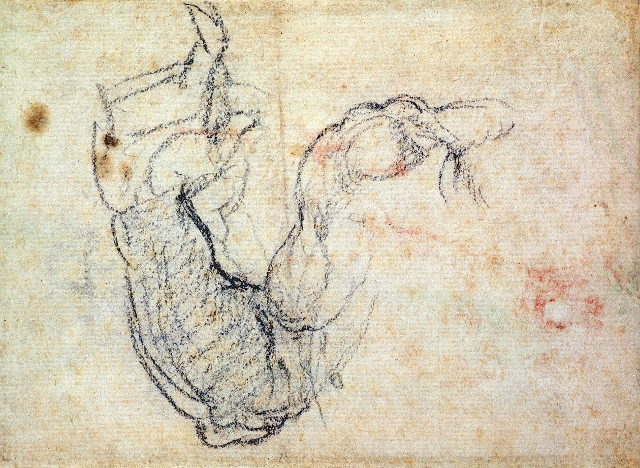 Előkészítő tanulmány Krisztus karjáról az utolsó ítéletben, 1535-41 (fekete kréta papíron) (recto) alkotó: Michelangelo Buonarroti