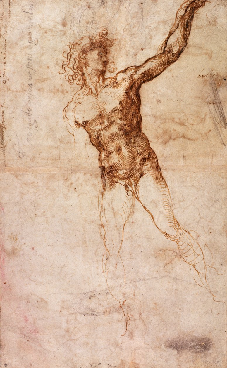 Vázlat egy meztelen férfiról (W. 4 recto) alkotó: Michelangelo Buonarroti