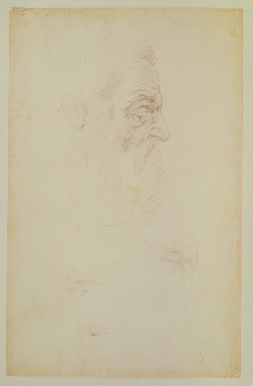 Vázlat egy férfi fejről és két lábról (szén papíron) alkotó: Michelangelo Buonarroti