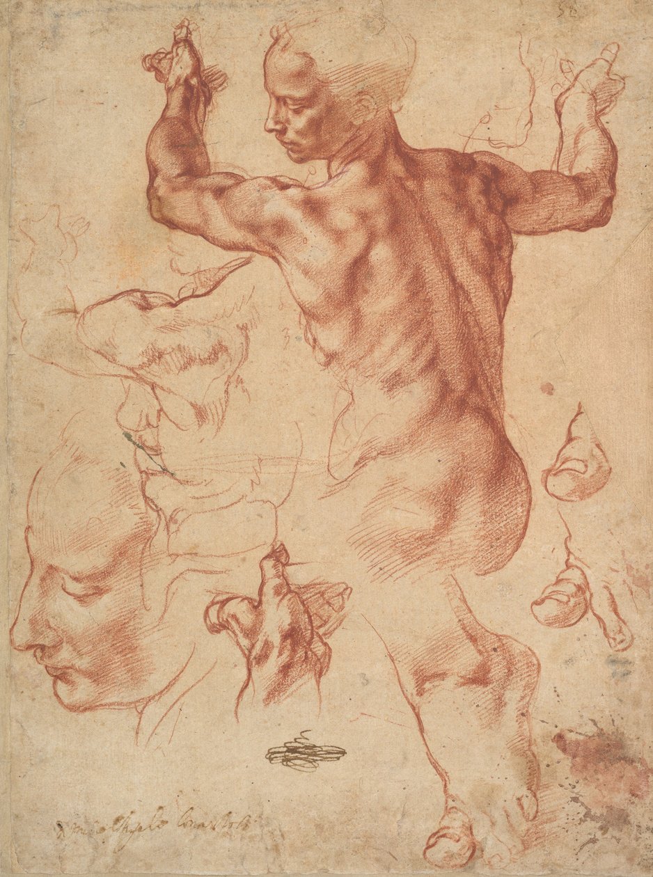 Tanulmányok a líbiai szibillához (recto), 1510-11 körül (vörös kréta, papír) alkotó: Michelangelo Buonarroti