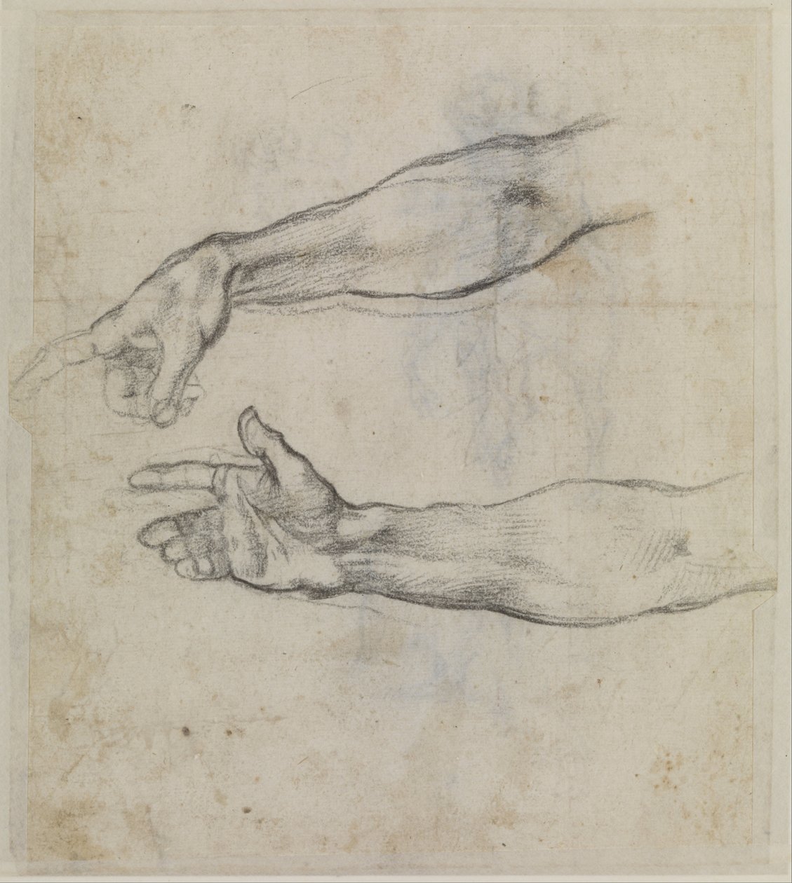 Tanulmányok egy kinyújtott karról a Noé részegsége című freskóhoz a Sixtus -kápolnában alkotó: Michelangelo Buonarroti