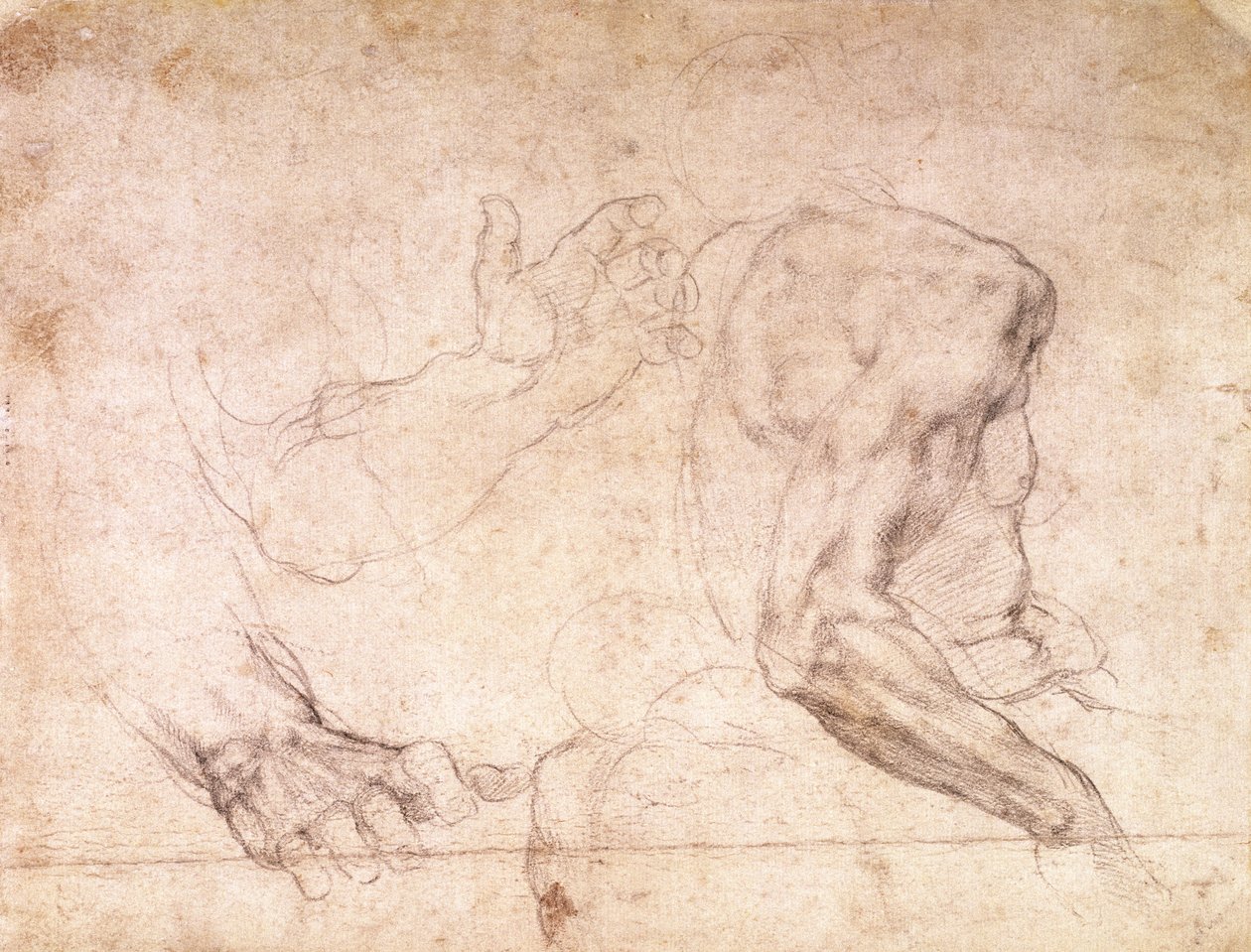 Kéz és kar tanulmányozása (fekete kréta papíron) (fordítva) alkotó: Michelangelo Buonarroti