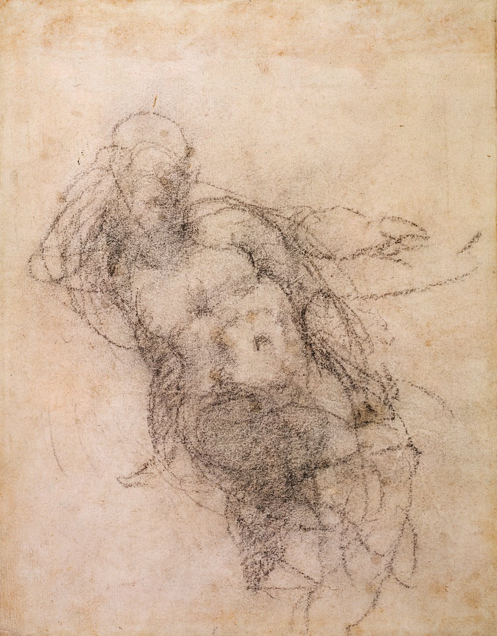 Tanulmány Noé számára a „Noé részegsége”, 1508-12 (szén papíron) (recto) alkotó: Michelangelo Buonarroti