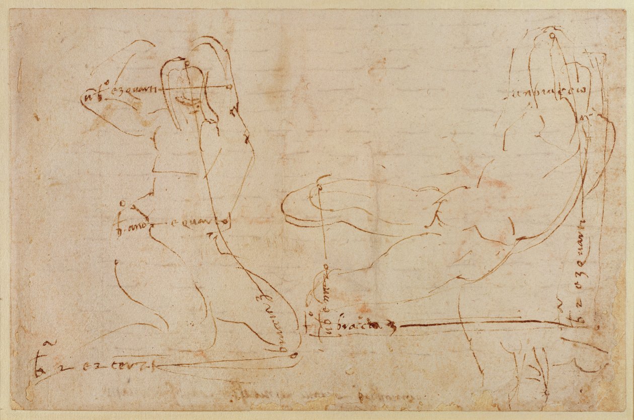 Tanulmány a River God számára alkotó: Michelangelo Buonarroti