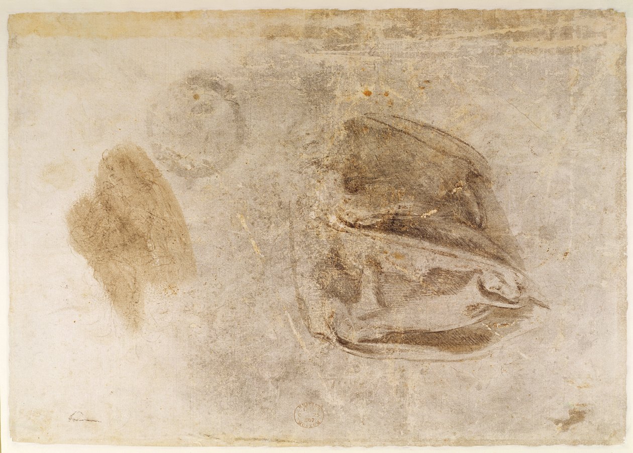 Tanulmány az erithrai szibilla köntöseiről (faszén fehér kiemeléssel és barna mosás a papíron) alkotó: Michelangelo Buonarroti