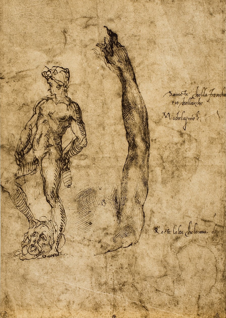 Tanulmány a Dávid-szoborhoz; Michelangelo rajza. Louvre, Párizs alkotó: Michelangelo Buonarroti
